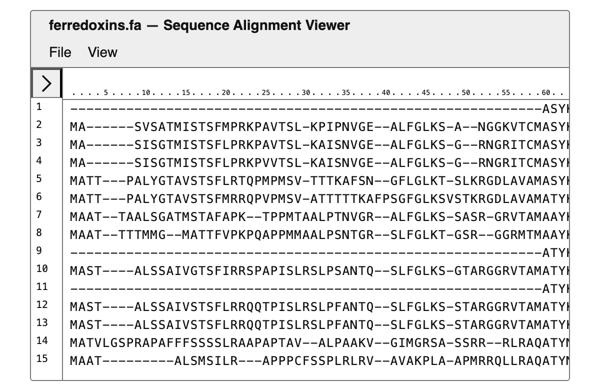 Sequence Alignment Viewer